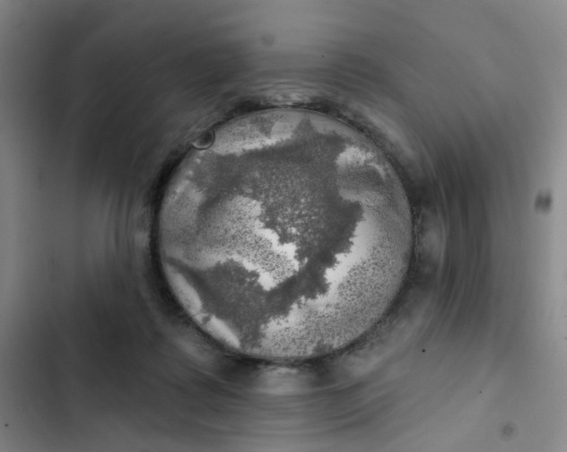 X0000102500315200808221800