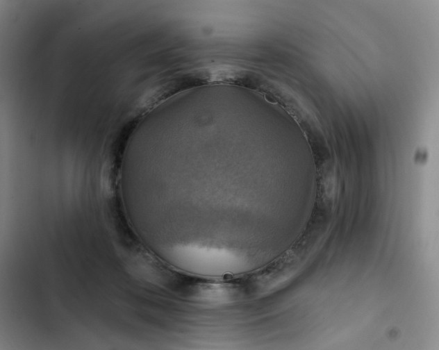 X0000102500316200808221800