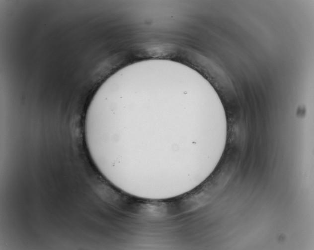 X0000102500317200808221800