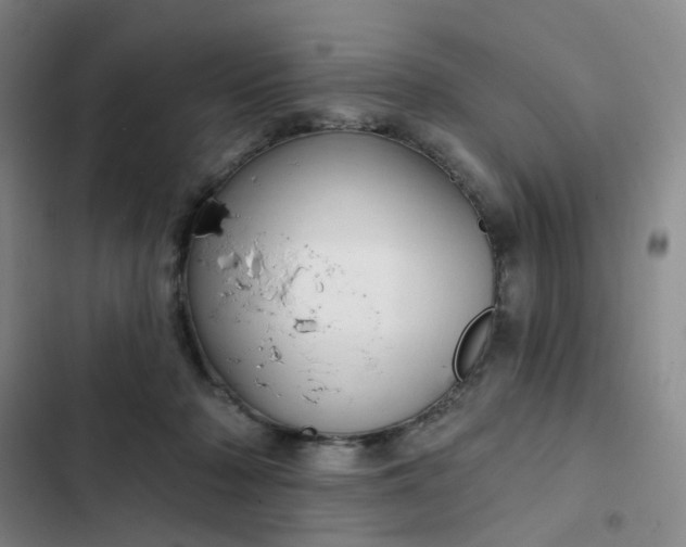 X0000102500318200808221800