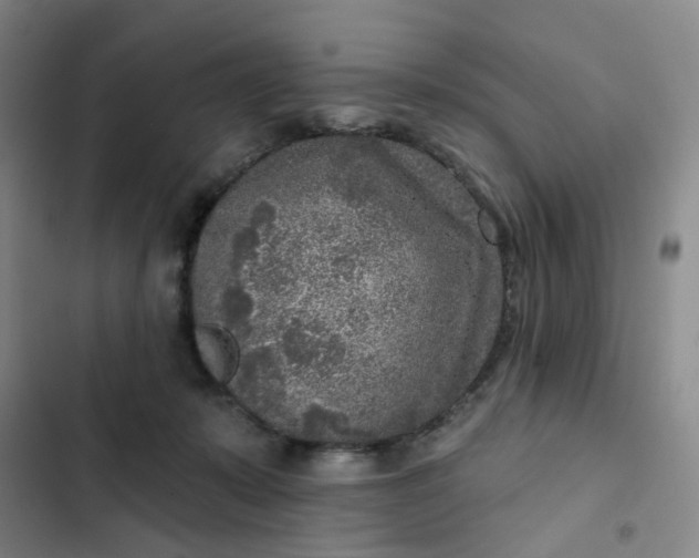 X0000102500319200808221800