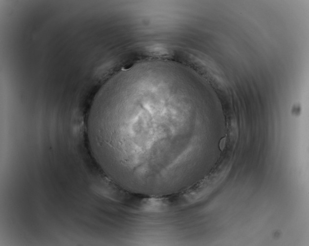 X0000102500320200808221800