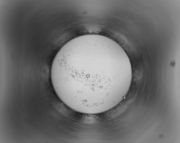 X0000102500321200808221800