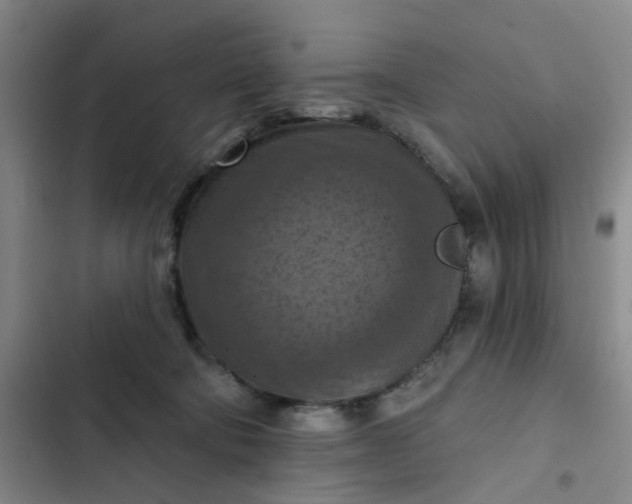 X0000102500322200808221800