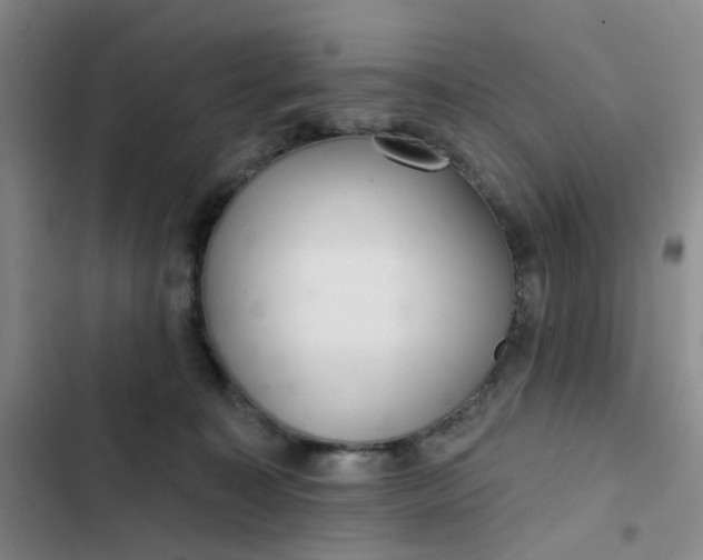 X0000102500323200808221800