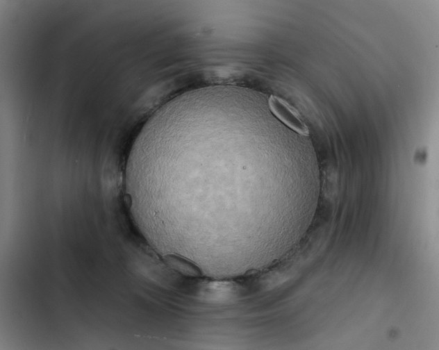 X0000102500324200808221800