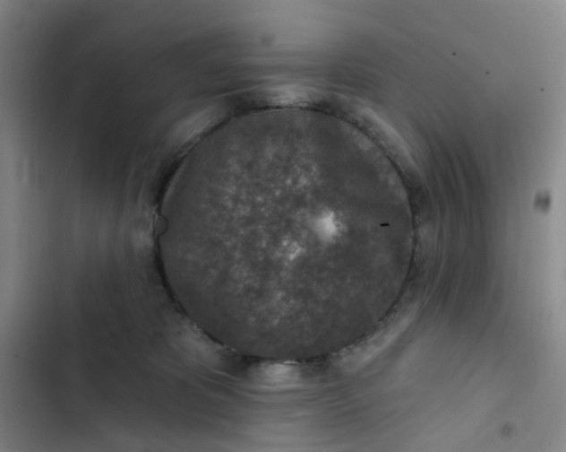 X0000102500325200808221800