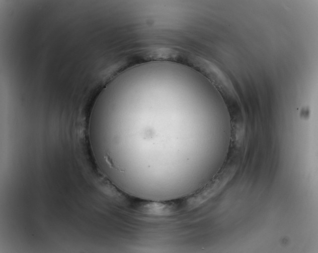 X0000102500326200808221800