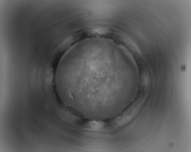 X0000102500328200808221800