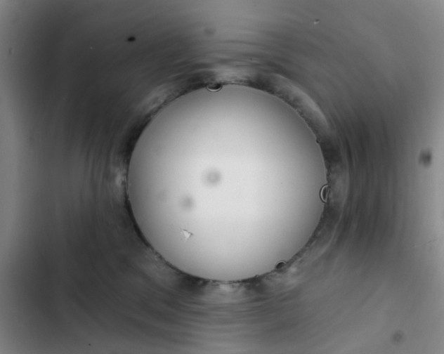 X0000102500329200808221800