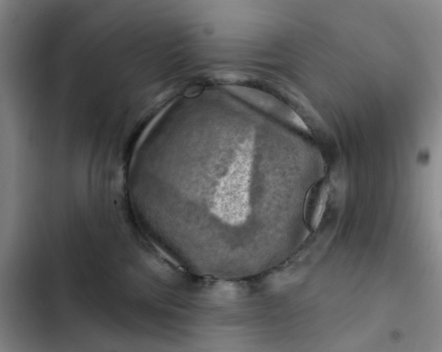 X0000102500330200808221800