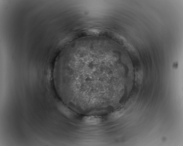 X0000102500331200808221800