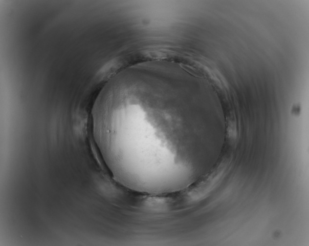 X0000102500332200808221800