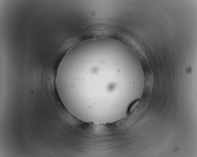 X0000102500333200808221800