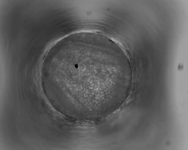 X0000102500337200808221759