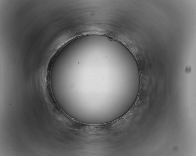 X0000102500338200808221759