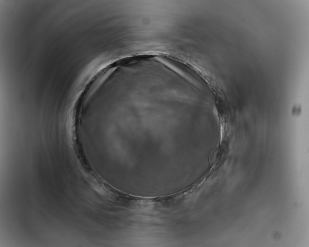 X0000102500339200808221759