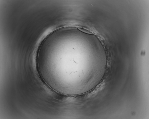 X0000102500341200808221759