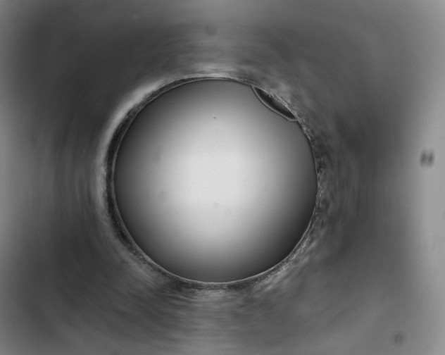 X0000102500342200808221759