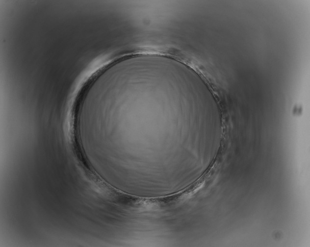 X0000102500343200808221759