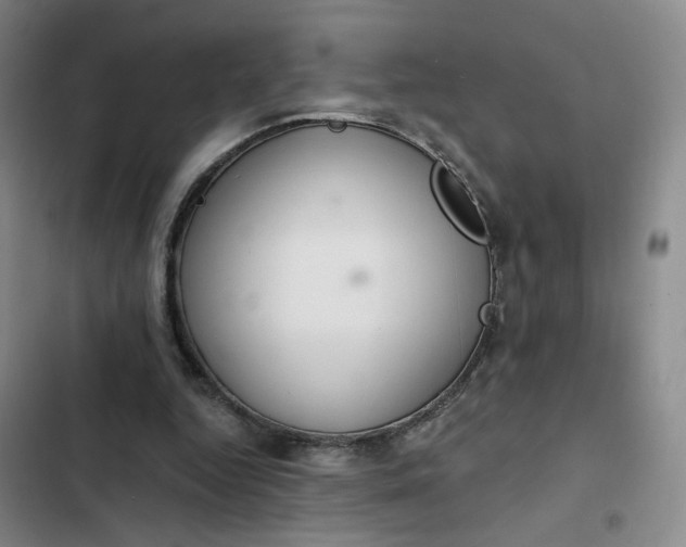 X0000102500344200808221759