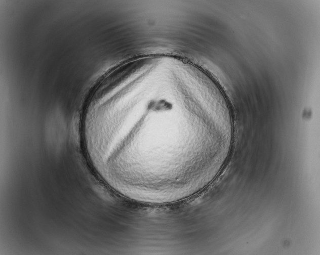 X0000102500345200808221759