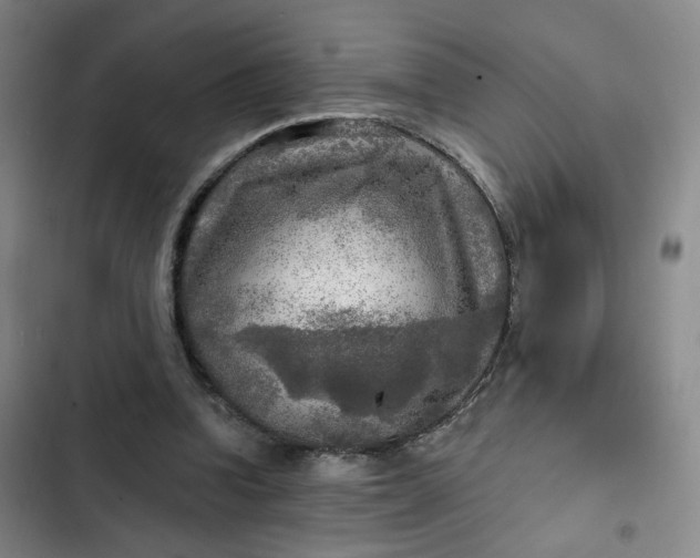 X0000102500346200808221759