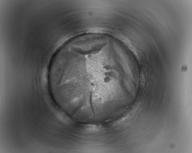 X0000102500347200808221759