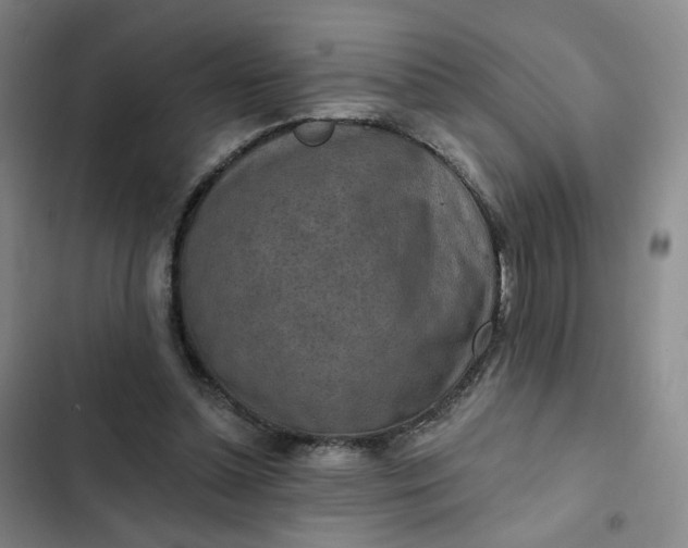 X0000102500348200808221759