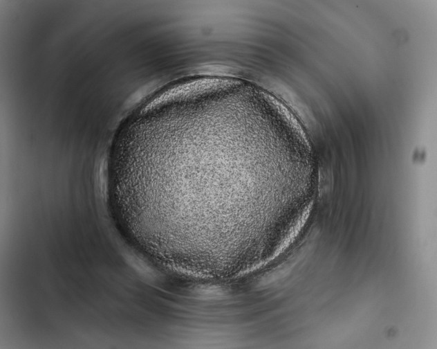 X0000102500349200808221759