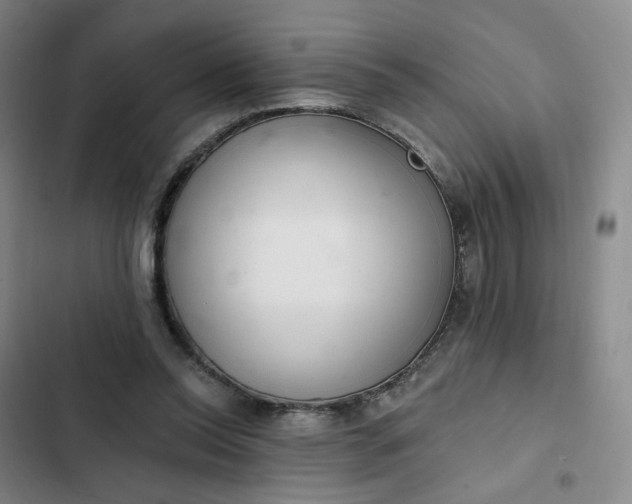 X0000102500350200808221759