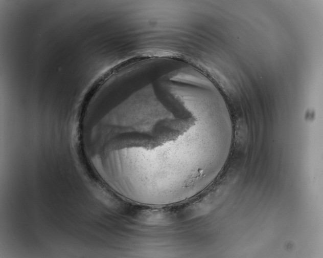 X0000102500351200808221759