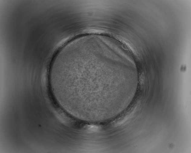 X0000102500352200808221759