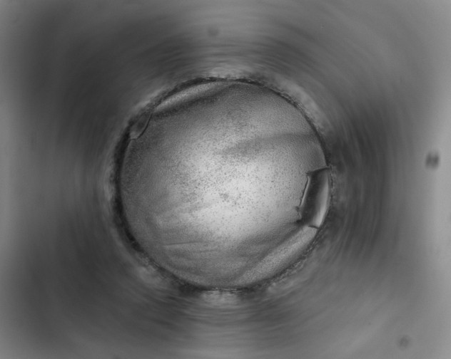 X0000102500354200808221800