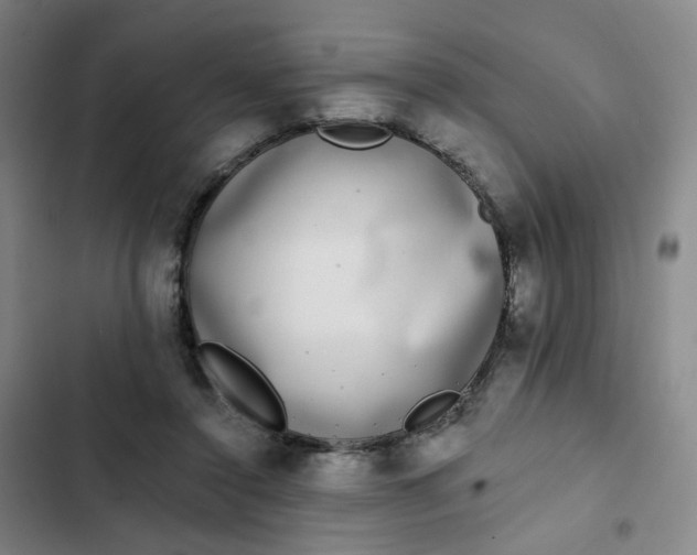 X0000102500356200808221800