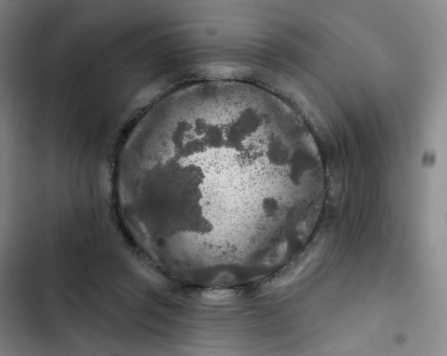 X0000102500357200808221800