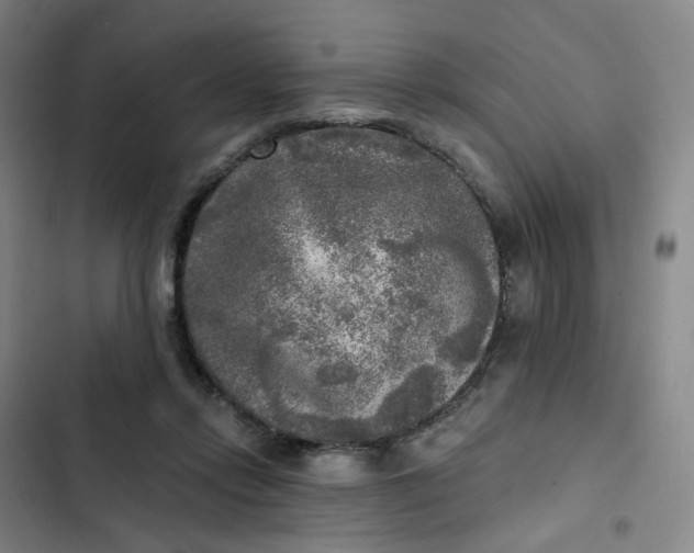 X0000102500358200808221800