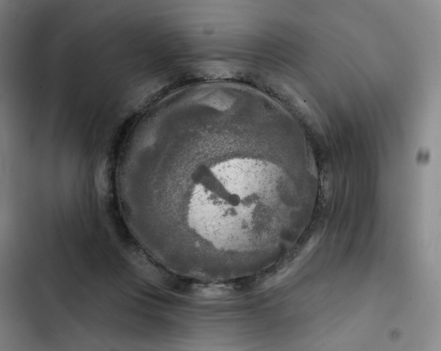 X0000102500359200808221800