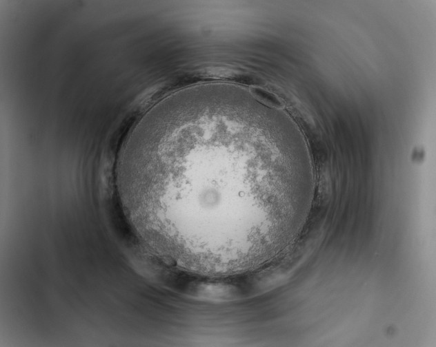 X0000102500360200808221800