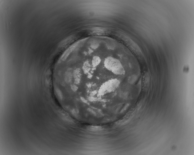 X0000102500361200808221800