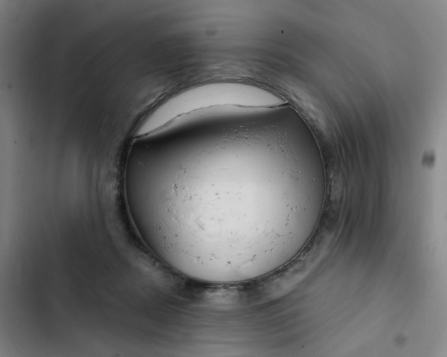 X0000102500362200808221800