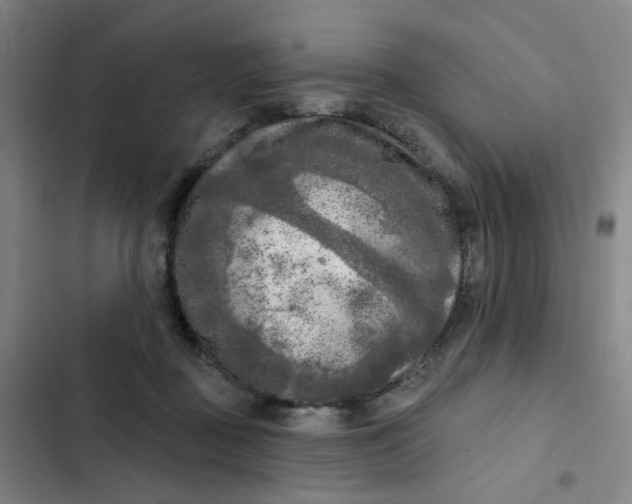 X0000102500363200808221800