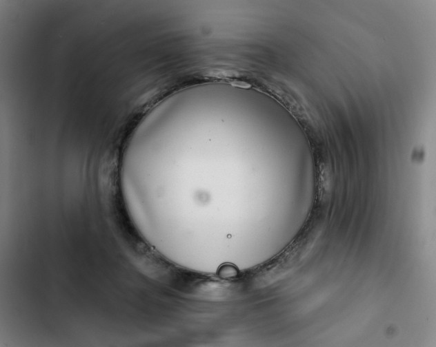 X0000102500364200808221800