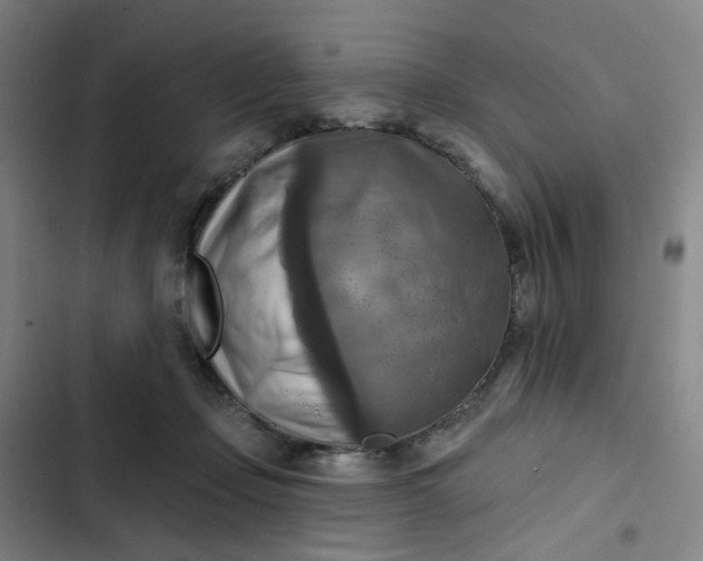 X0000102500365200808221800