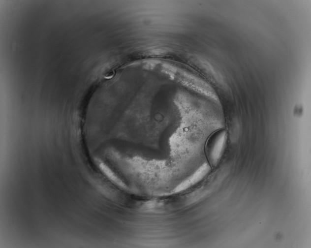 X0000102500366200808221800