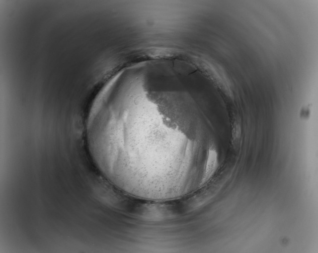 X0000102500367200808221800