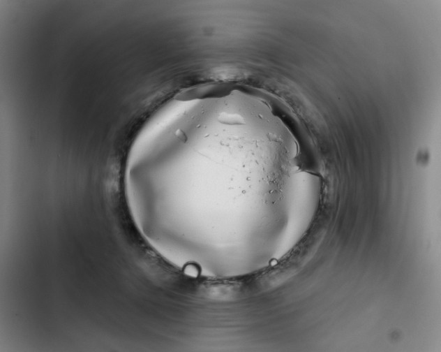 X0000102500368200808221800