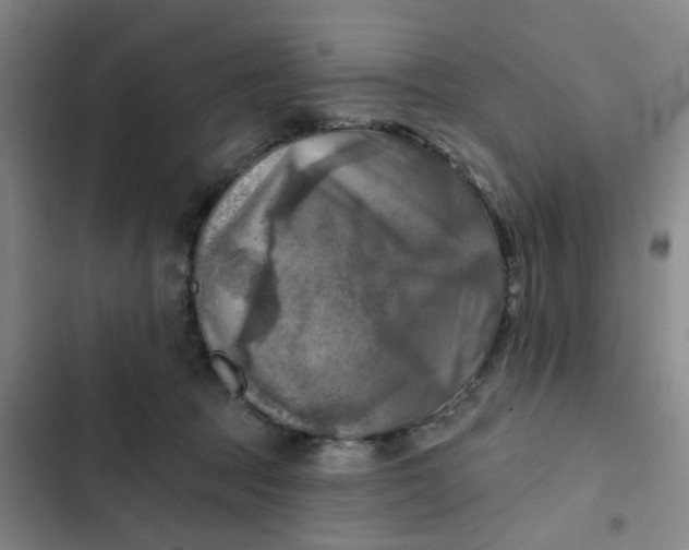 X0000102500369200808221800