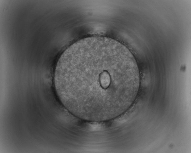 X0000102500370200808221800