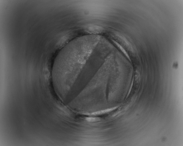 X0000102500371200808221800